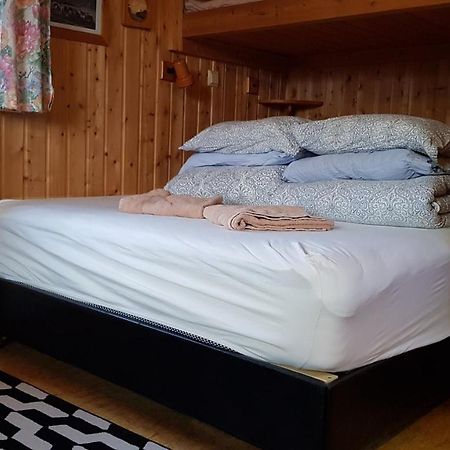 Cozy Cabin In The Woods 塞尔福斯 外观 照片