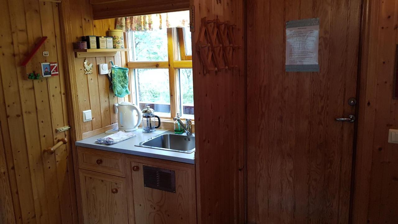 Cozy Cabin In The Woods 塞尔福斯 外观 照片