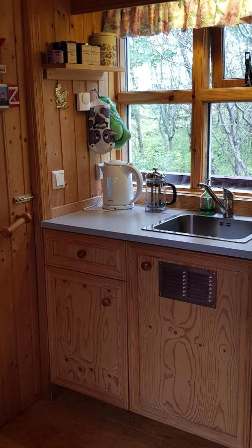 Cozy Cabin In The Woods 塞尔福斯 外观 照片